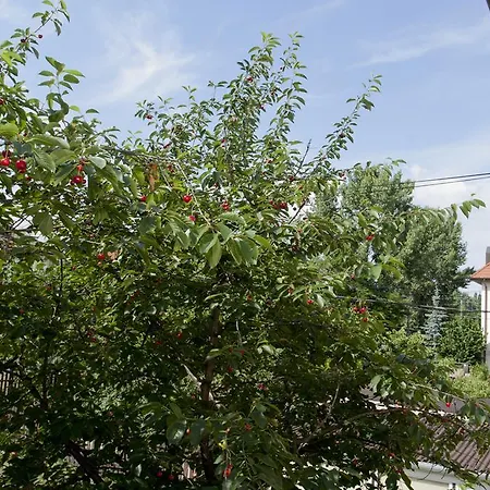 Zuglo Apartman Es